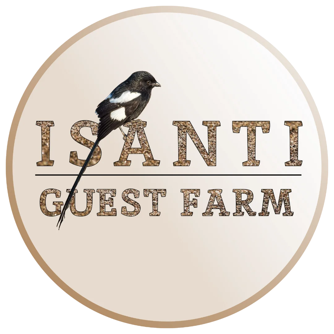 logo image of witkophuntingsafaris